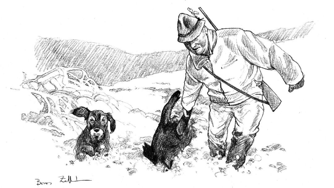 Illusztráció: Boros Zoltán