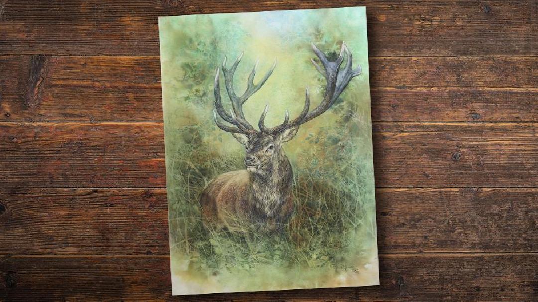 fotó: Prihoda Judit