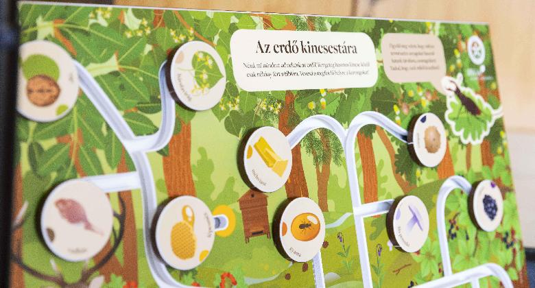 Újabb 500 helyszínen folytatódik az Iskolában az Erdő Program