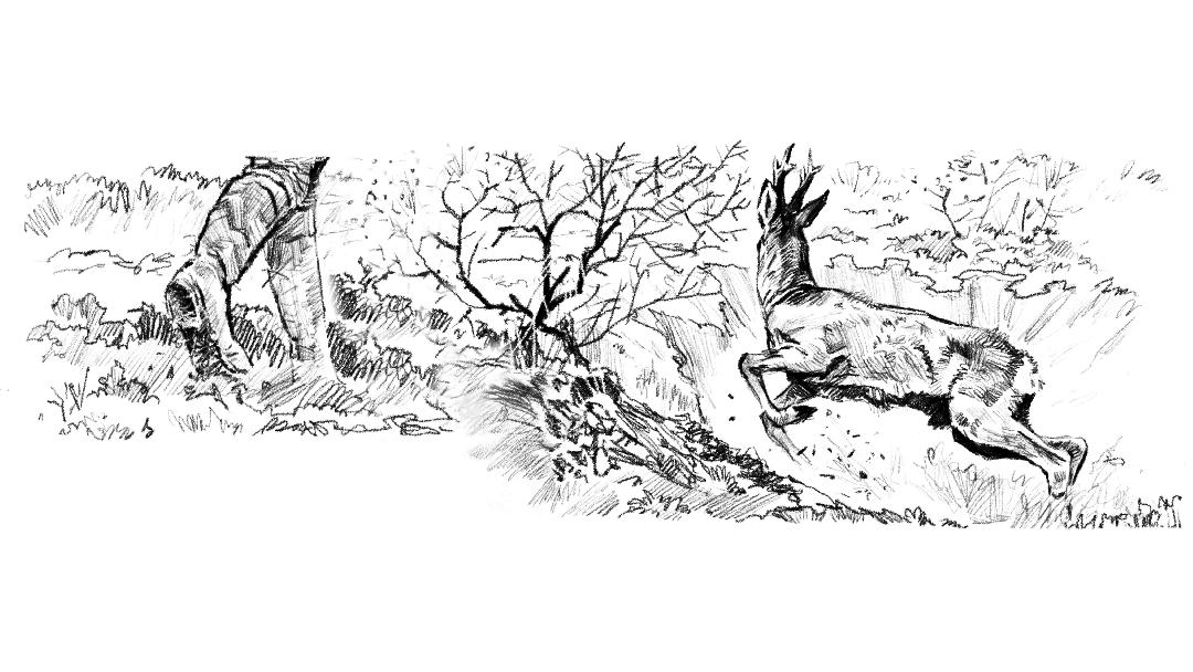 Illusztráció: Pócz Dániel