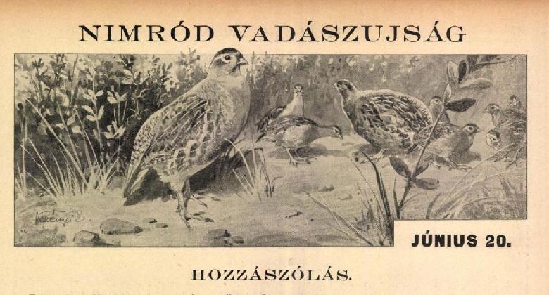 Hozzászólás (1934)