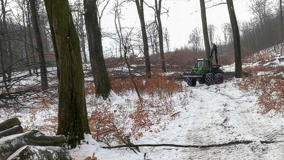 Fotó: Vérteserdő Zrt.