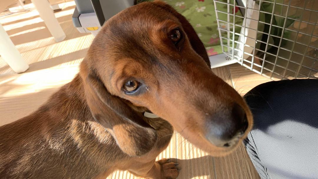 fotó: Molnár Tamás