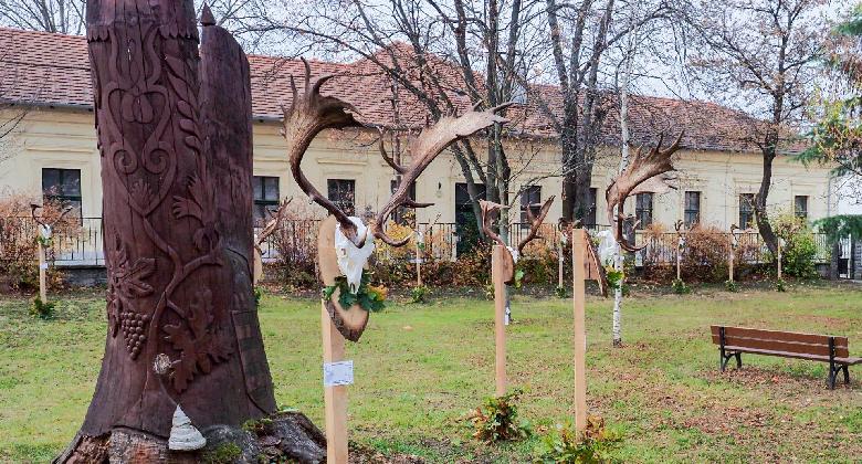 Dámbika trófeaszemle történelmi környezetben