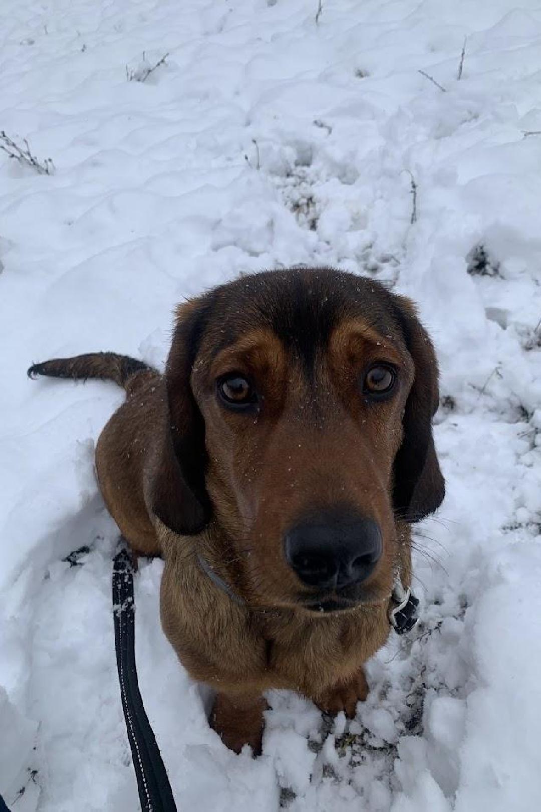 fotó: Molnár Tamás