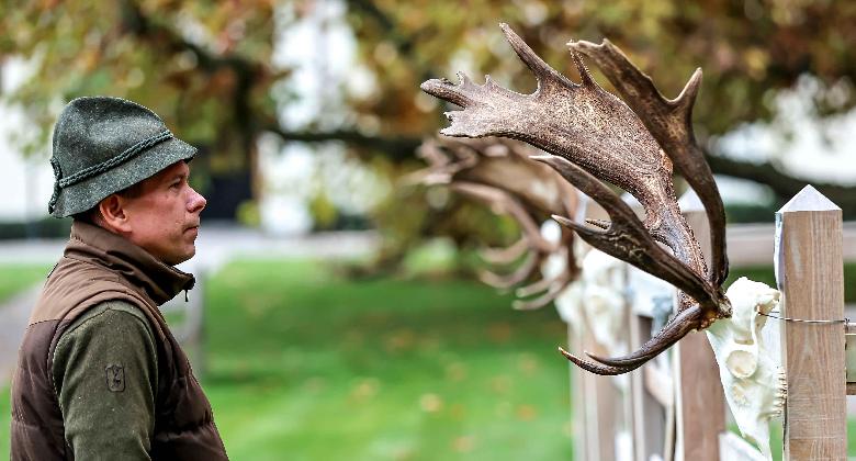 Trófeaszemlét tartottak Mezőhegyesen