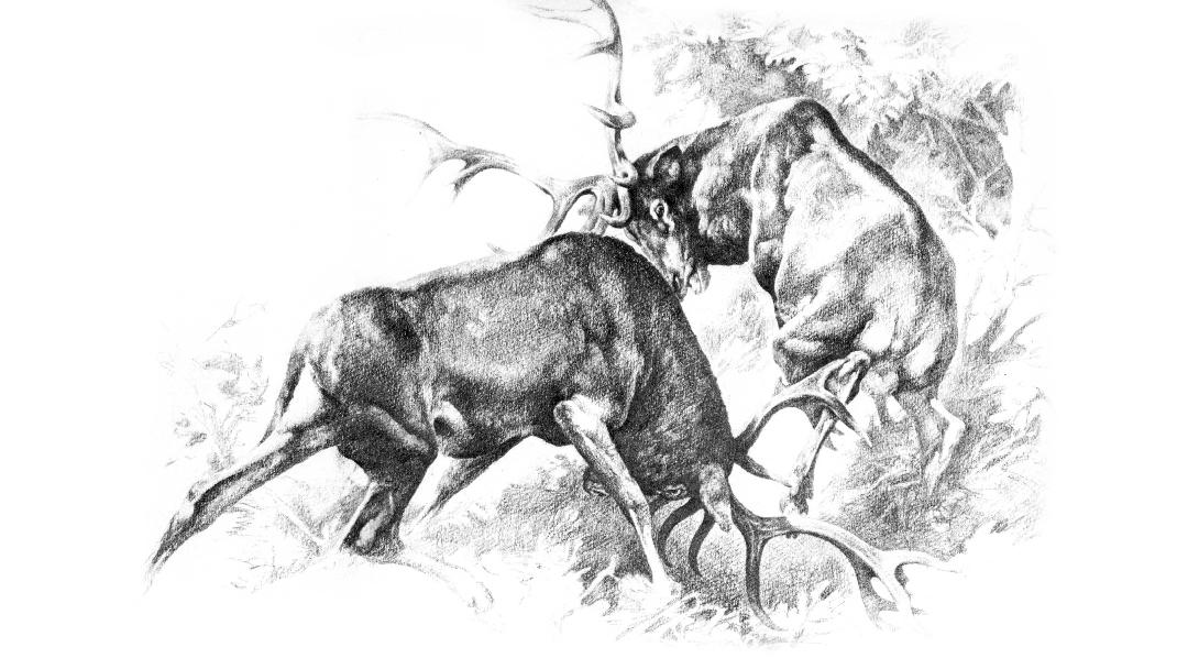 Illusztráció: Balogh Péter