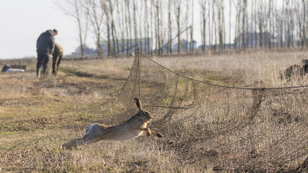 Szerző és fotók: Orosz György