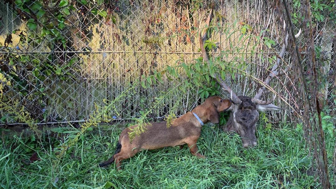 fotó: Molnár Tamás