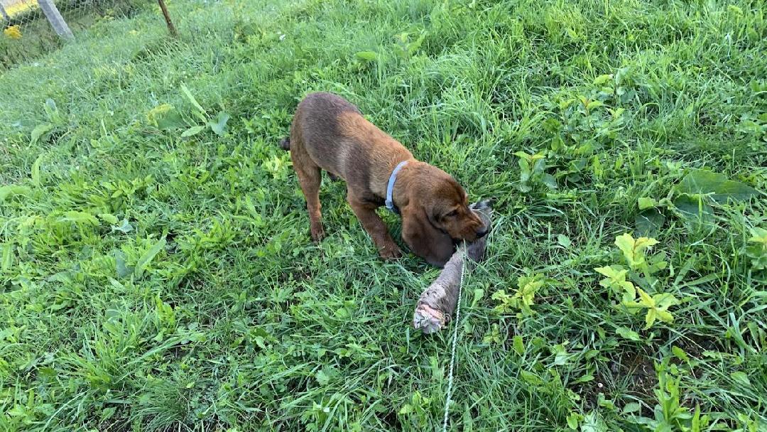 fotó: Molnár Tamás