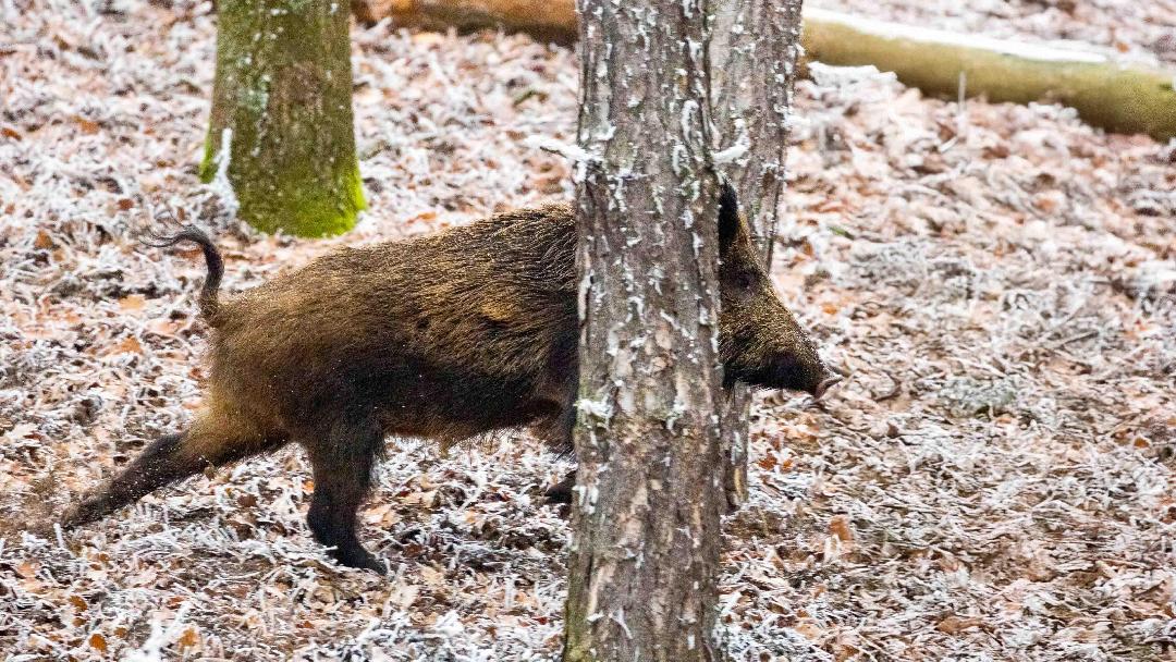 Fotók: Orosz György