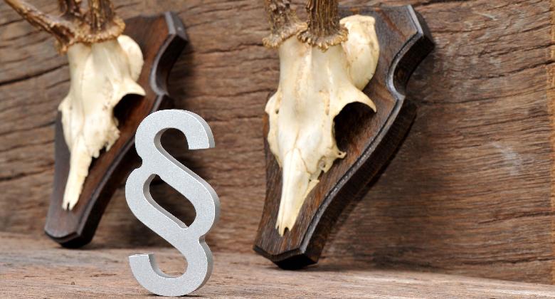 A vadászati törvény módosításai