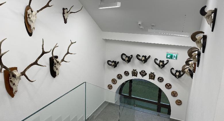 Vadgazdálkodási- és vadegészségügyi oktatás állatorvostan-hallgatóknak