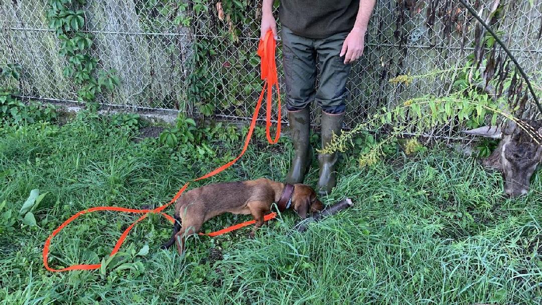 fotó: Molnár Tamás