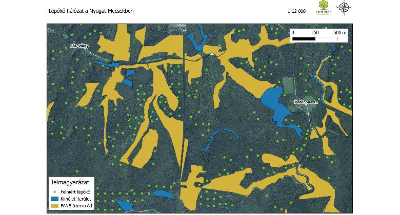 Lépőkövek az erdőben