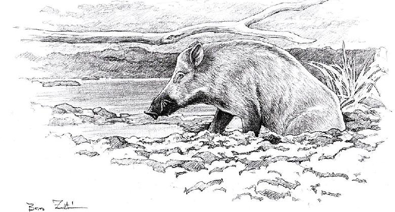 A dagonyánál