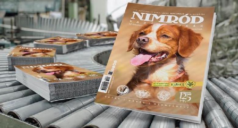 Novemberi lapajánló