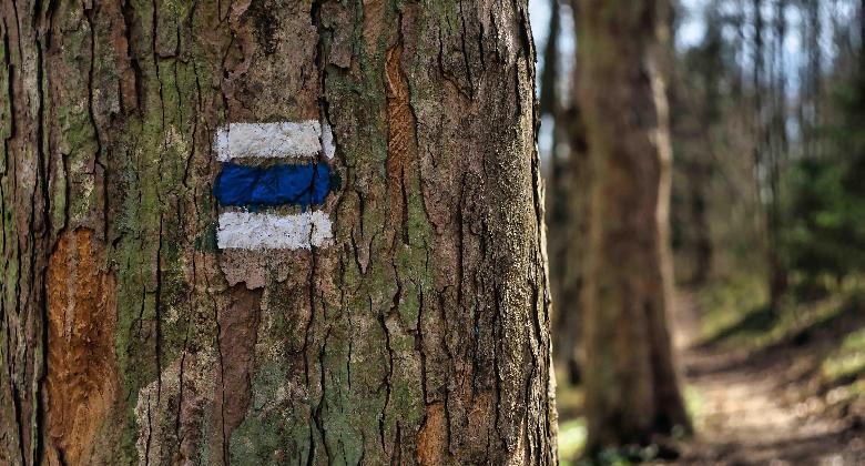 Nemzeti parkokat és a turistautakat is lezártak a száj- és körömfájás miatt