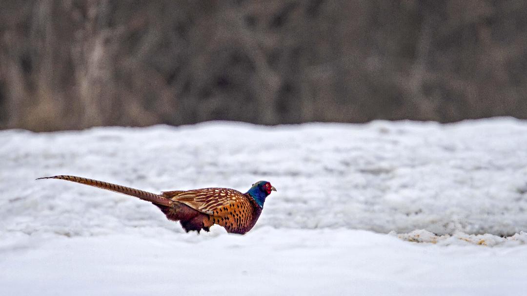 Fotó: Fabóné Bíró Ágnes