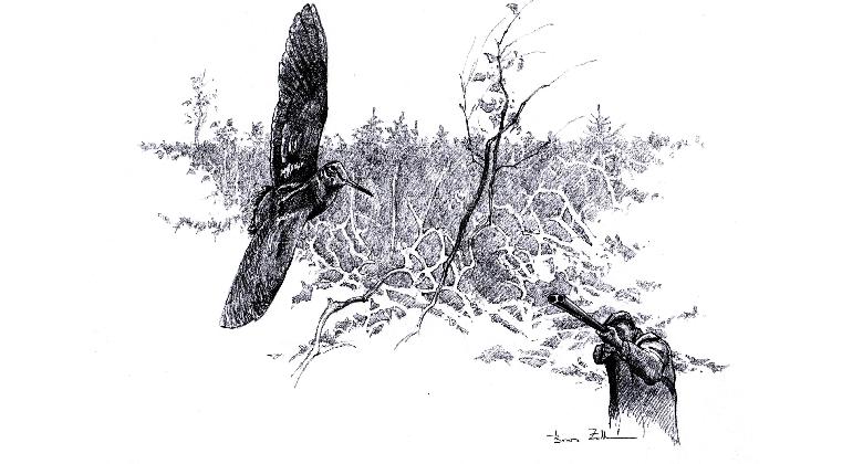 Volt egyszer egy Oculi