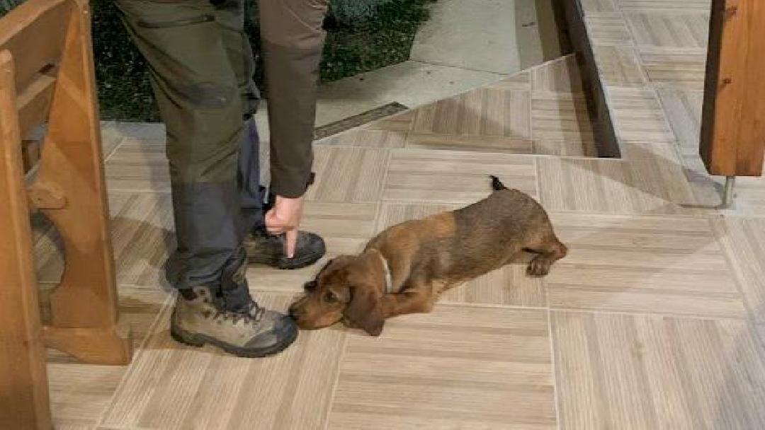 fotó: Molnár Tamás