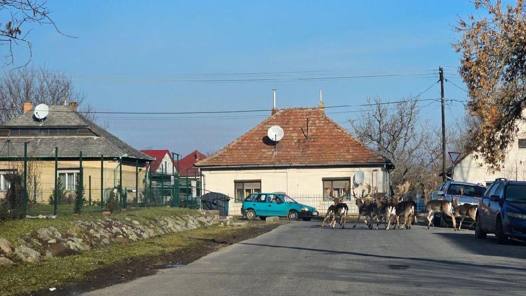 A NOOL számára beküldött felvétel. 