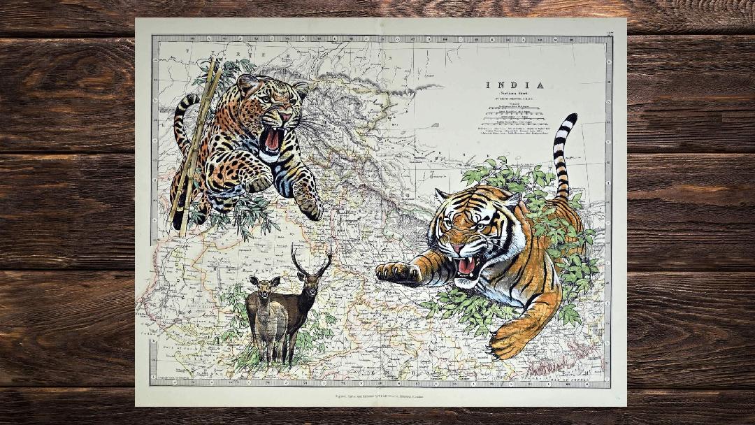 Fotó: Boros Zoltán