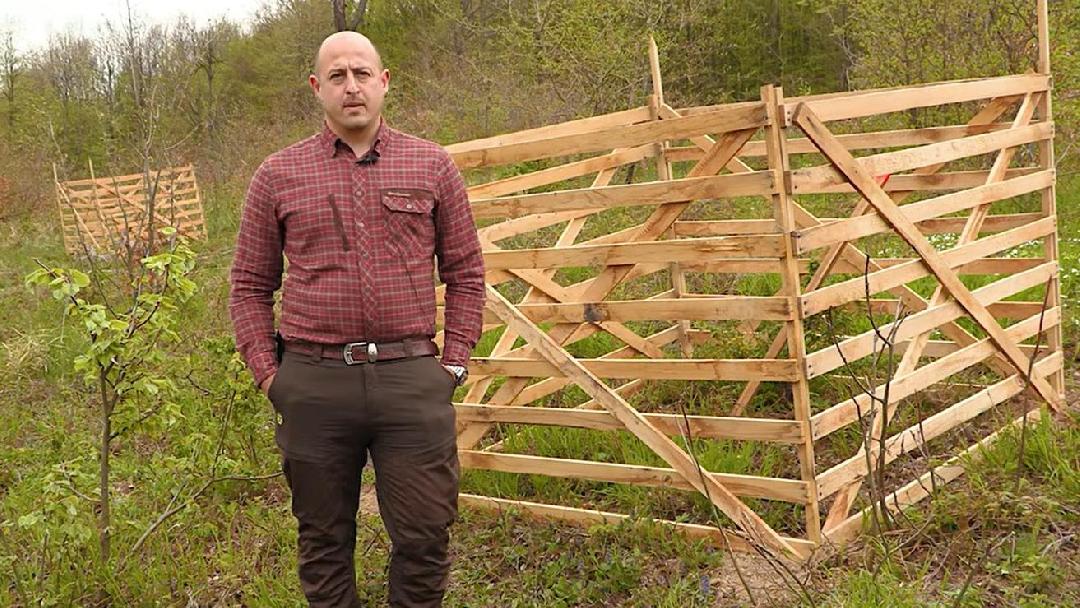 fotó: Mecsekerdő Zrt.