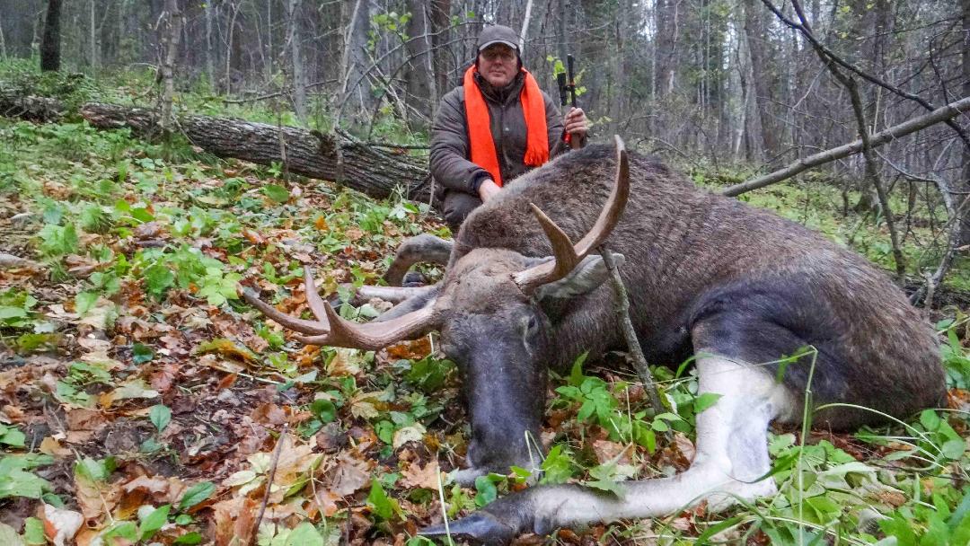 fotók: Molnár József