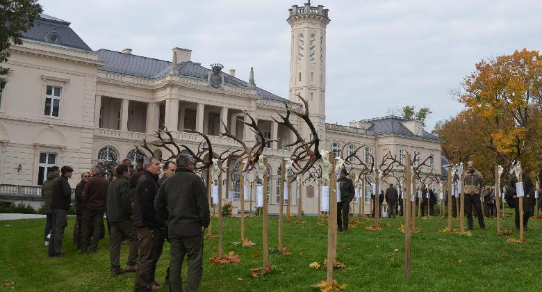 Trófeamustra a Hegyközben