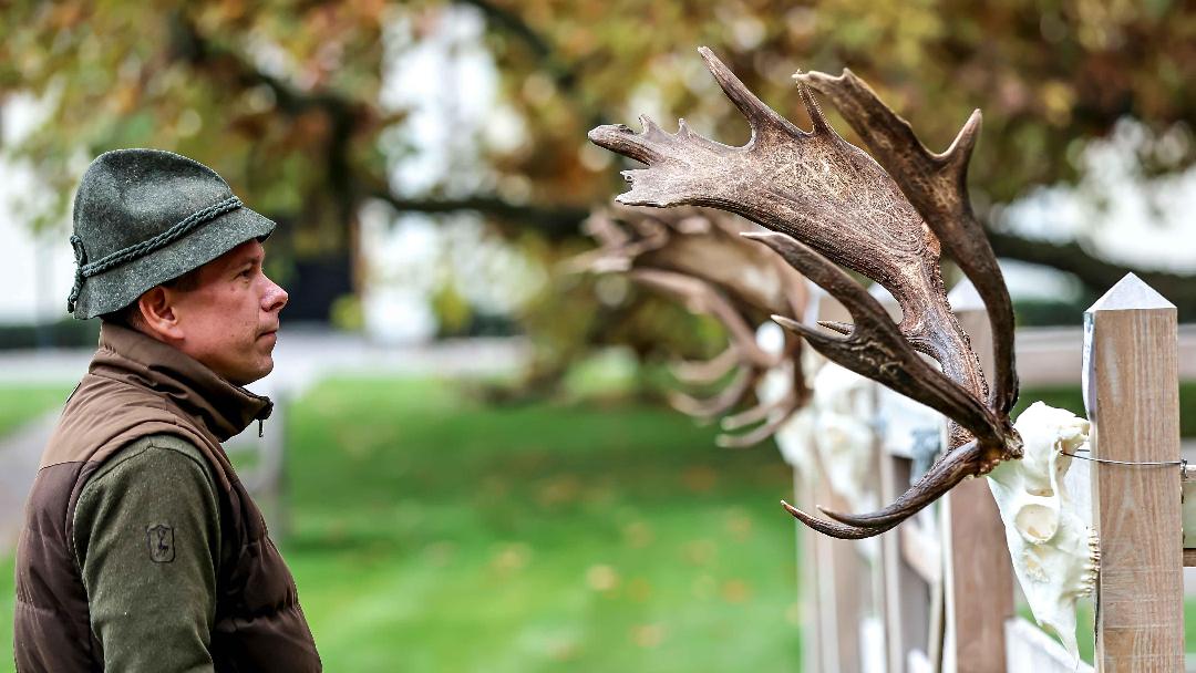 Fotók: Nemzeti Ménesbirtok és Tangazdaság