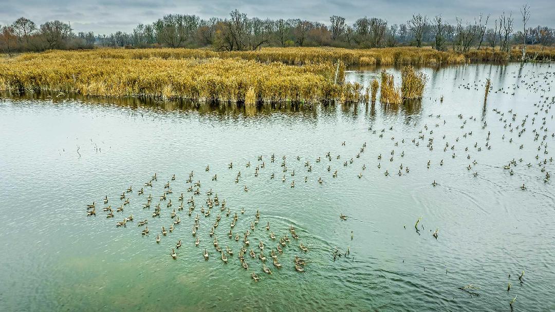 Fotó: Böröczky Bulcsú