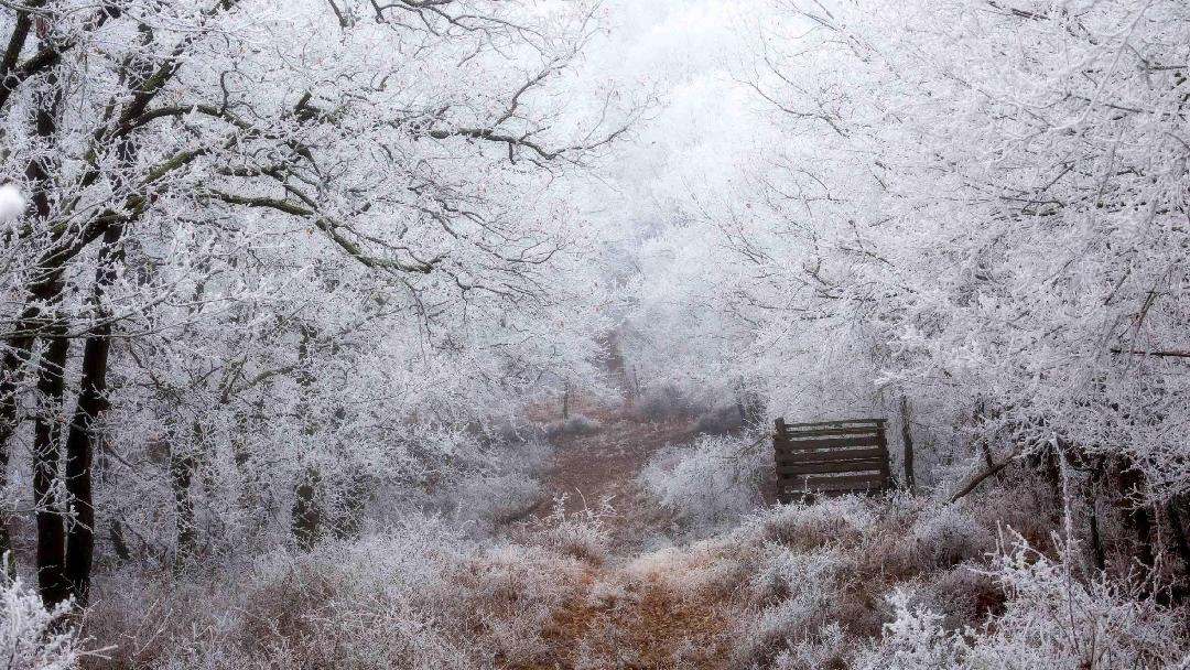 Fotó: Orosz György