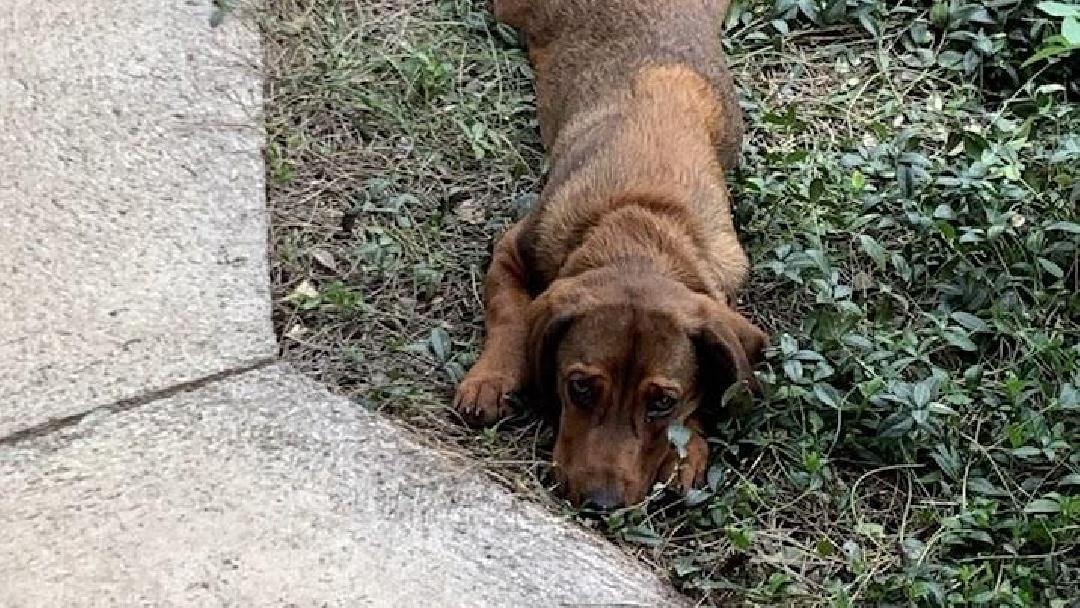 fotó: Molnár Tamás