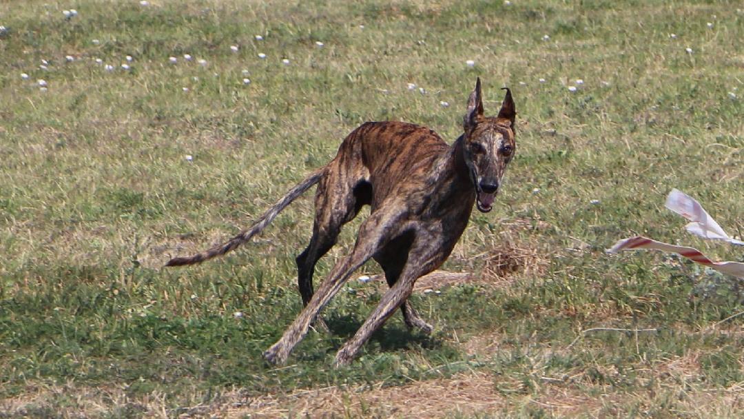Fotó: Ungai B. Ágnes