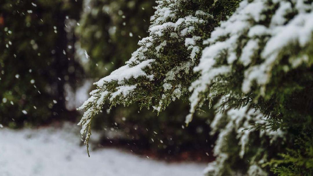 fotók: Soproni Egyetem