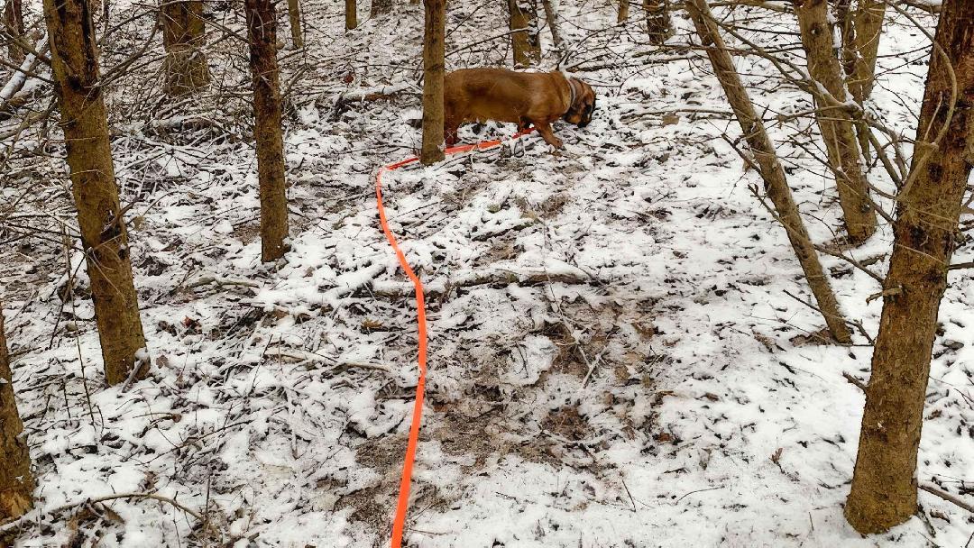 Fotó: Molnár Tamás