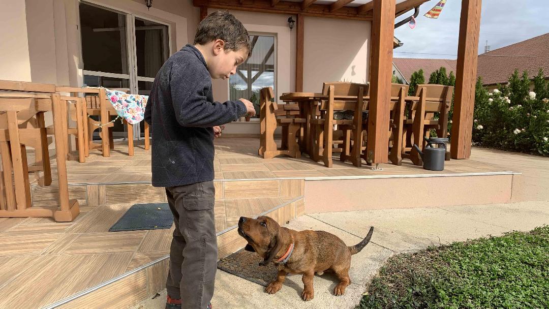 fotó: Molnár Tamás