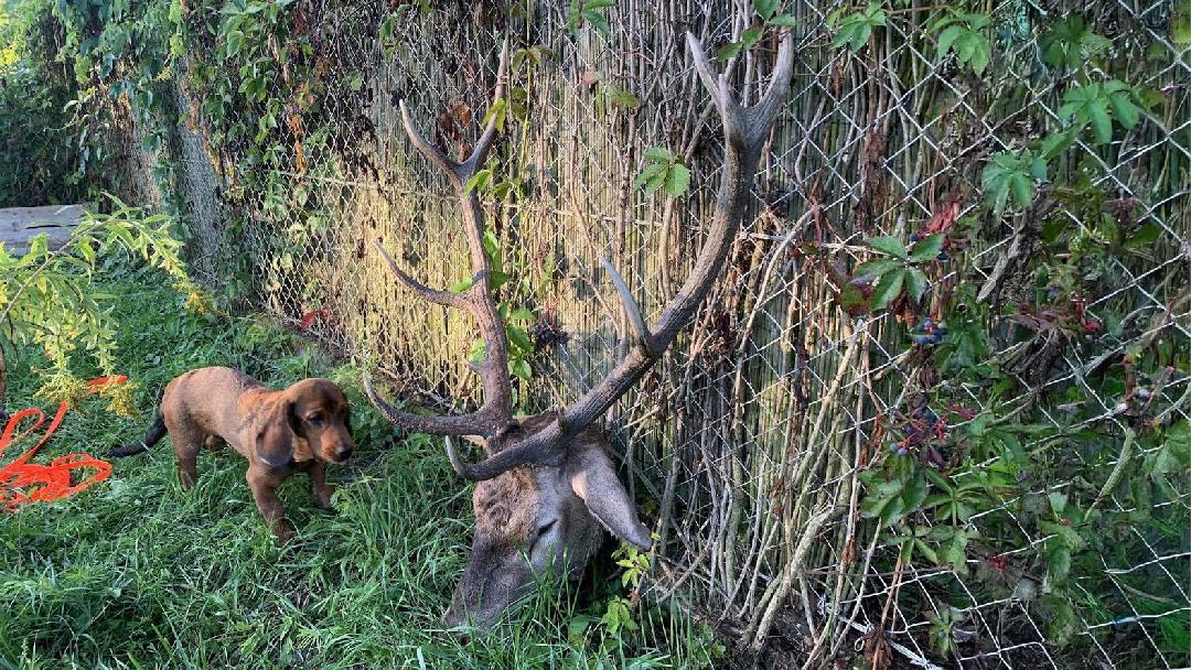 Fotó: Molnár Tamás