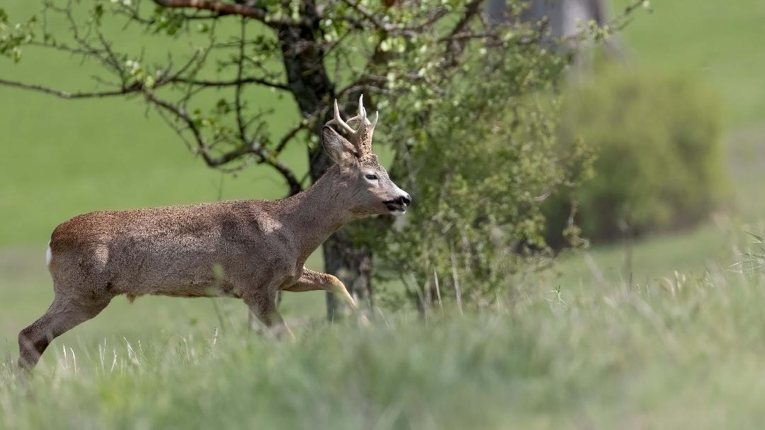 fotók: Orosz György
