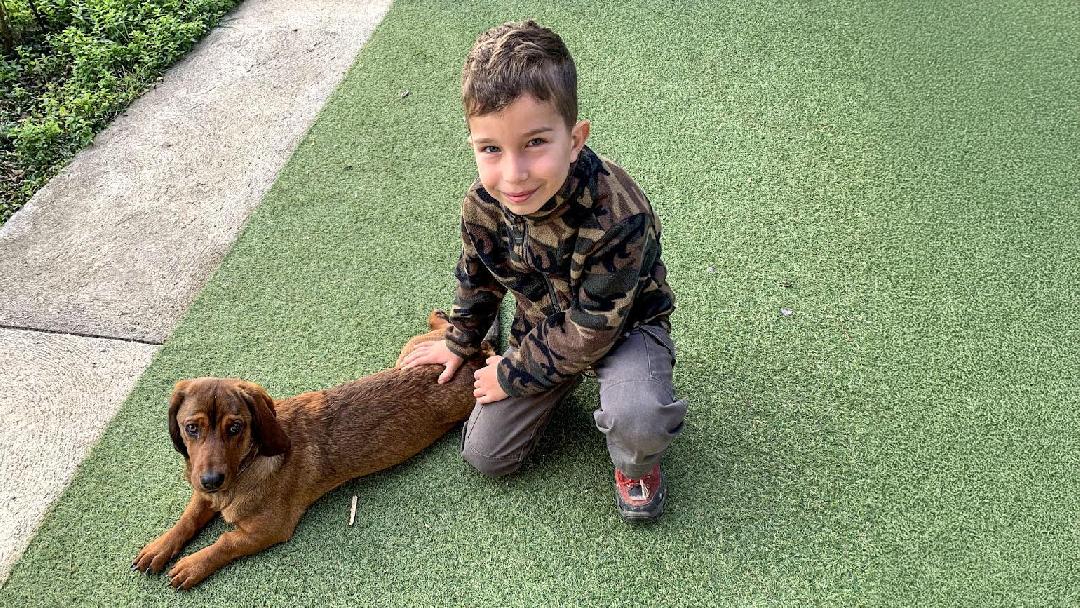 fotó: Molnár Tamás