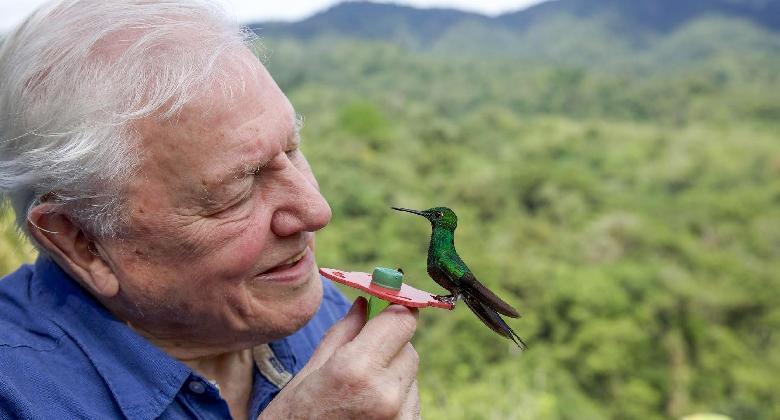 David Attenborough, a bolygó őre