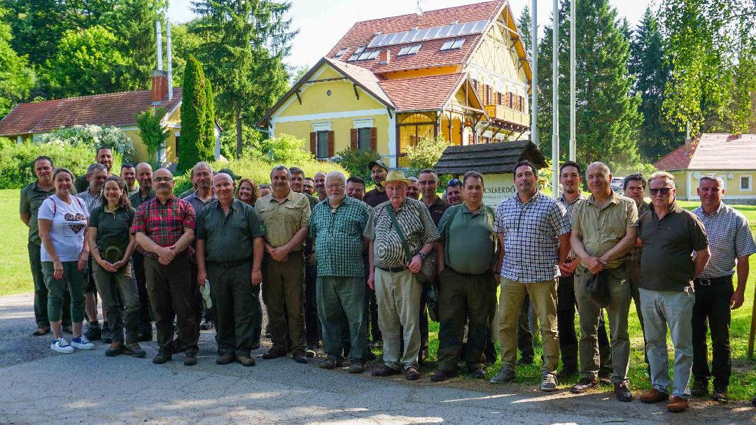 Cikk kép