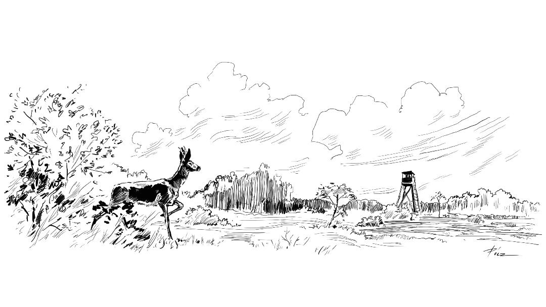 Illusztráció: Pócz Dániel