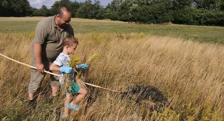 Iskolás gyerekeket ismertettek meg az őzgida- és fészekaljmentési programmal