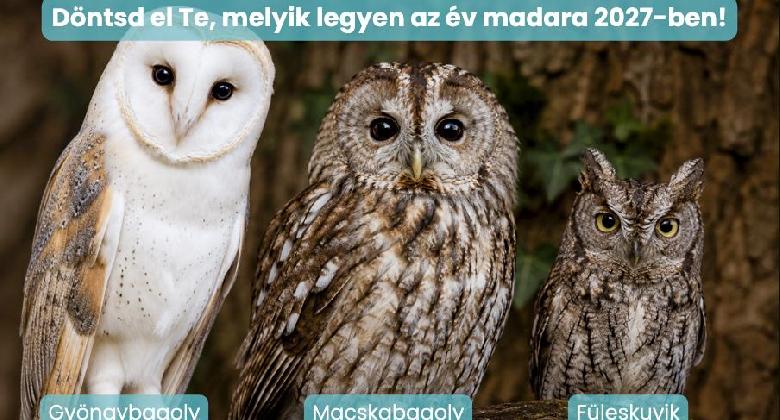 Melyik éjszakai vadász legyen a 2027-es év madara?