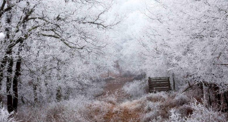 Akikre nem vonatkozik a tilalom