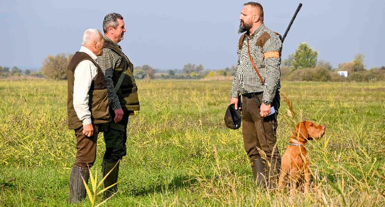 Boldogon versenyeztek vizslák a forradalom évfordulóján