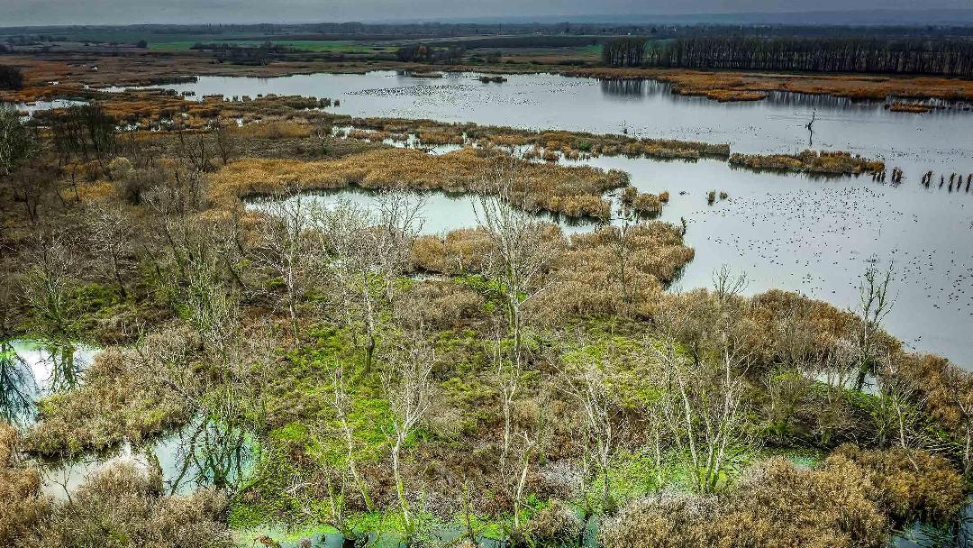 Fotó: Böröczky Bulcsú