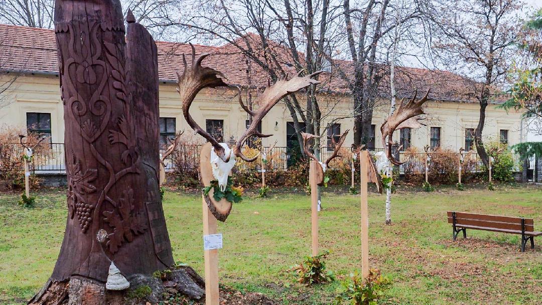 Fotók: Király Zoltán